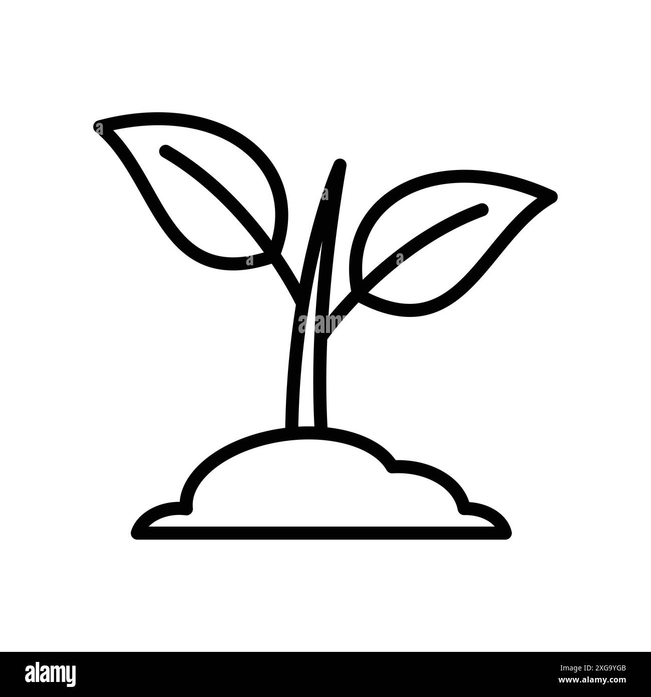 Spross-Symbol-Vektor-Designvorlage in weißem Hintergrund Stock Vektor