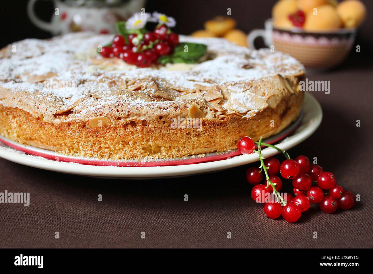 Ein frisch gebackener Kuchen, der mit Puderzucker bestäubt und mit ...