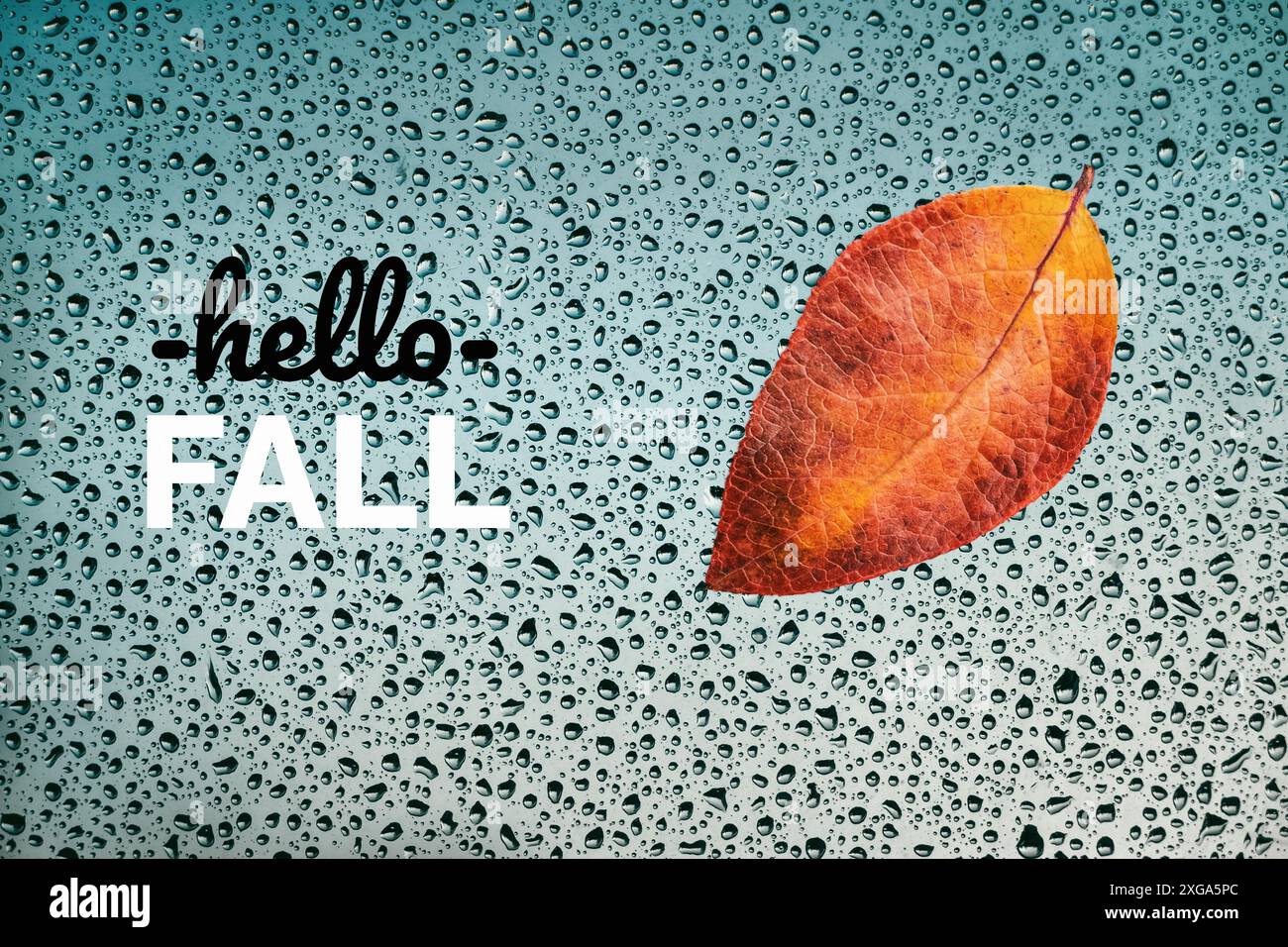 Hello Fall Karte mit Herbstblatt auf nassem Fenster und Grußtext Stockfoto