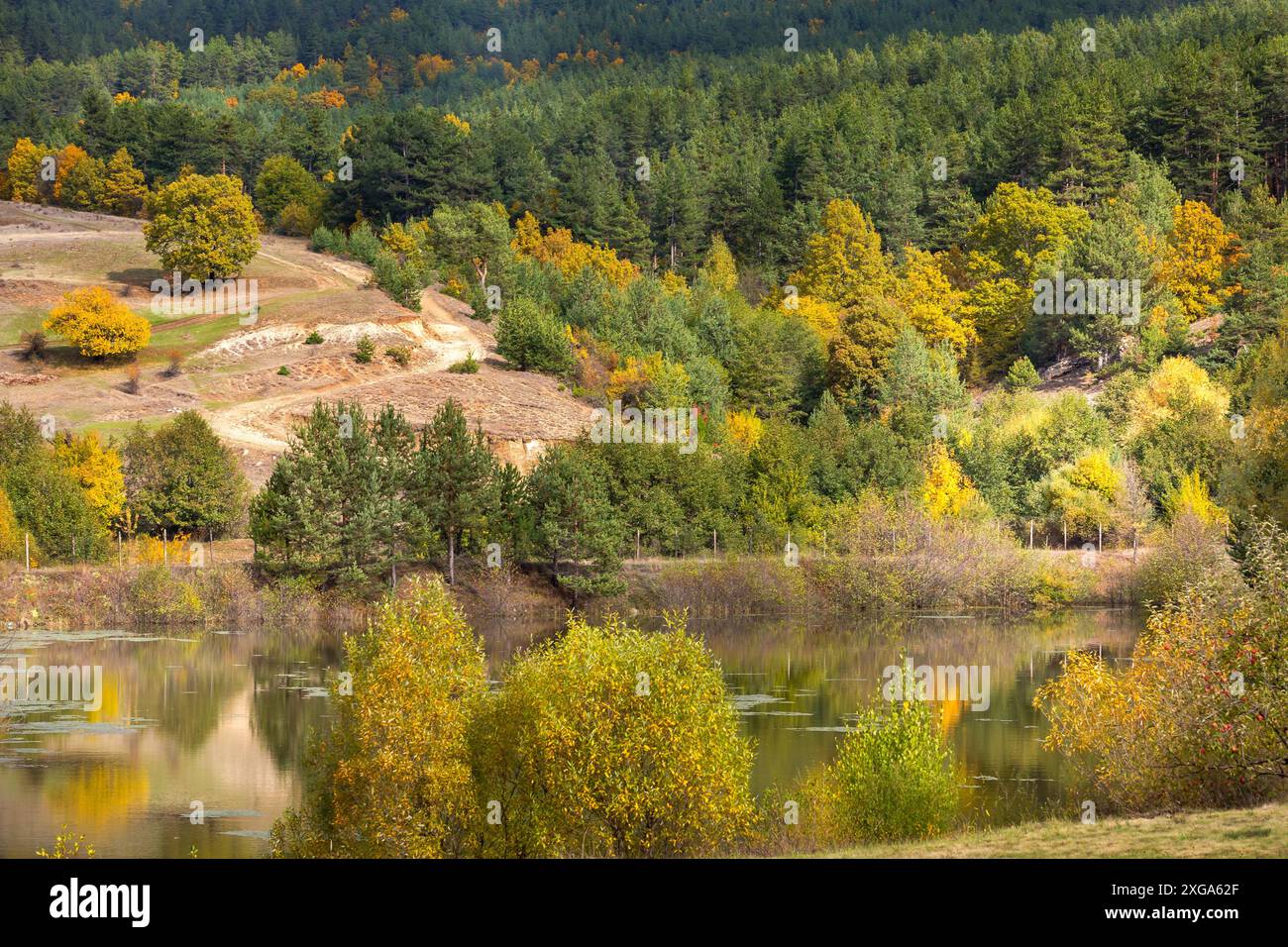 Goldener magischer Herbstwald mit bunten Herbstbäumen. Romantische Seenlandschaft Stockfoto