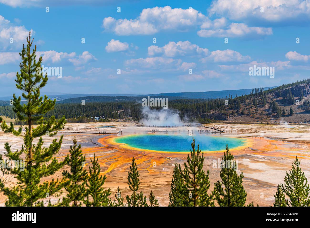 Berühmter Pfad der Grand Prismatic Springs im Yellowstone National Park. Wunderschöne heiße Quellen mit leuchtender Farbe blau grün orange in Wyoming Stockfoto