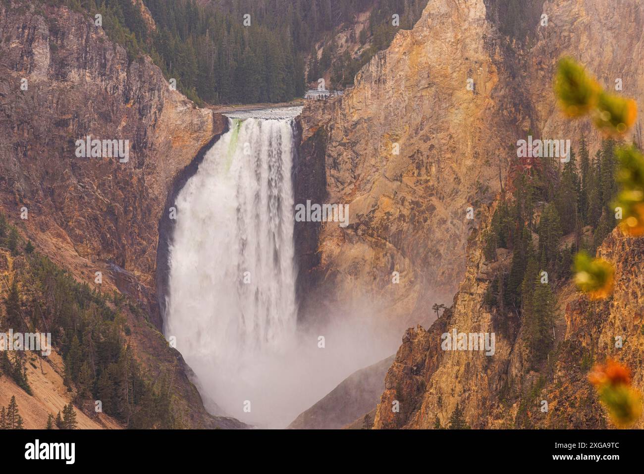 Untere Wasserfälle des yellowstone-Nationalparks aus dem Artist Point Shot mit einer langen Linse Stockfoto