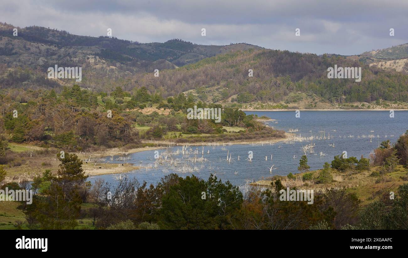 Ein See umgeben von Bäumen und grünen Hügeln bei bewölktem Wetter, Gadouras Reservoir, Rhodos, Dodekanes, griechische Inseln, Griechenland Stockfoto