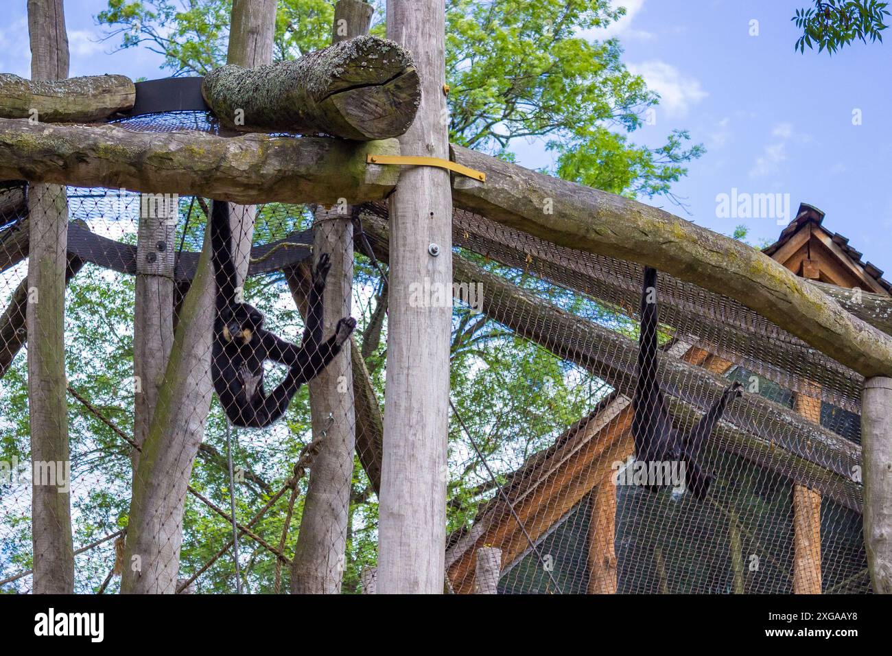 Jihlava, Tschechische Republik - 4. Juli 2024: Innenraum der Pavillons in einem modernen Zoo Stockfoto