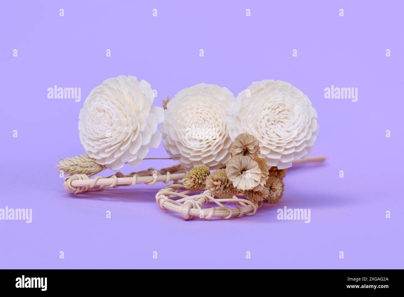 Getrocknete und gefälschte Papierblume Boho Stil Wohndekoration auf violettem Hintergrund Stockfoto