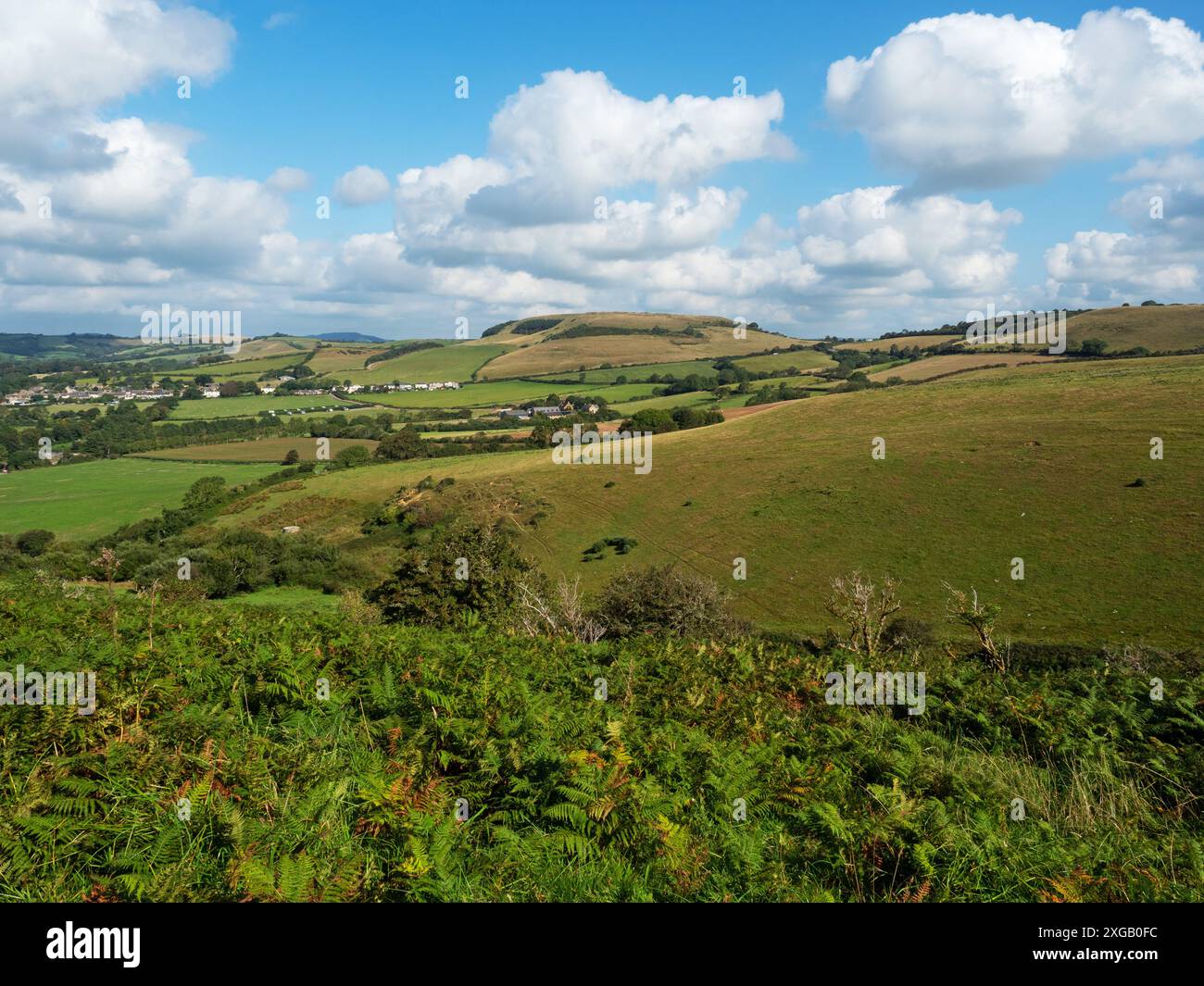 Blick über das Land in Richtung Quarry Hill und der A35 aus der Nähe von Seatown, Dorset, England, Großbritannien, September 2021 Stockfoto