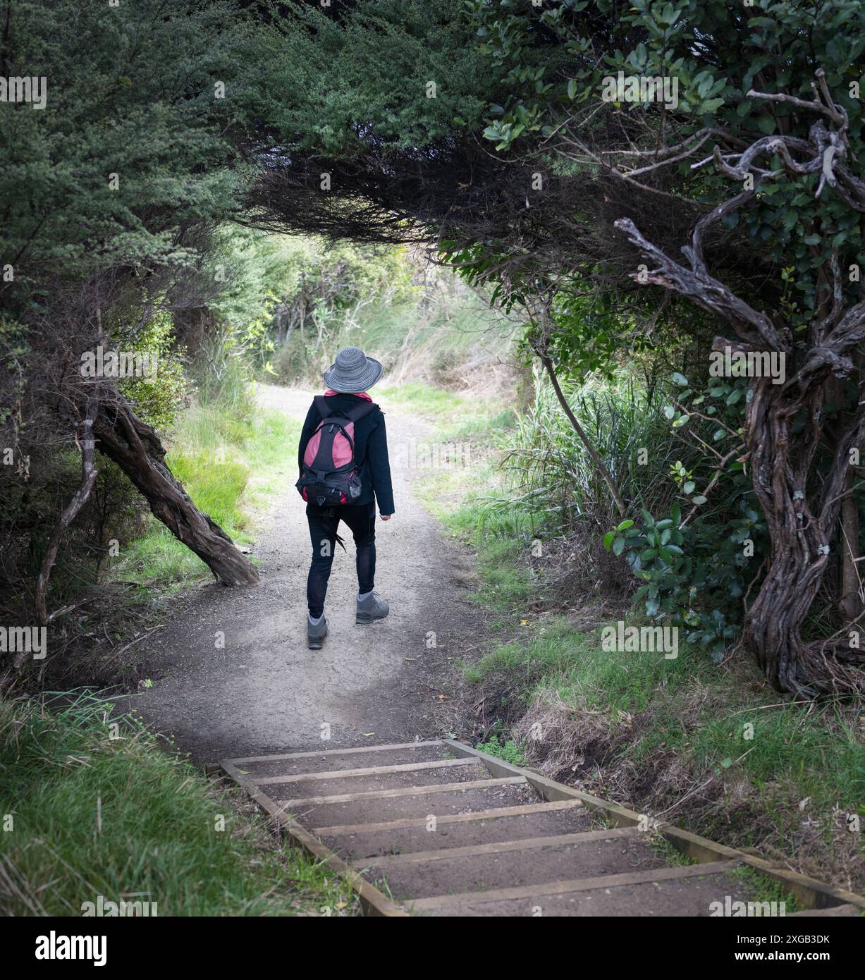 Frau, die durch einen Baumtunnel im Wald läuft. Vertikales Format. Stockfoto