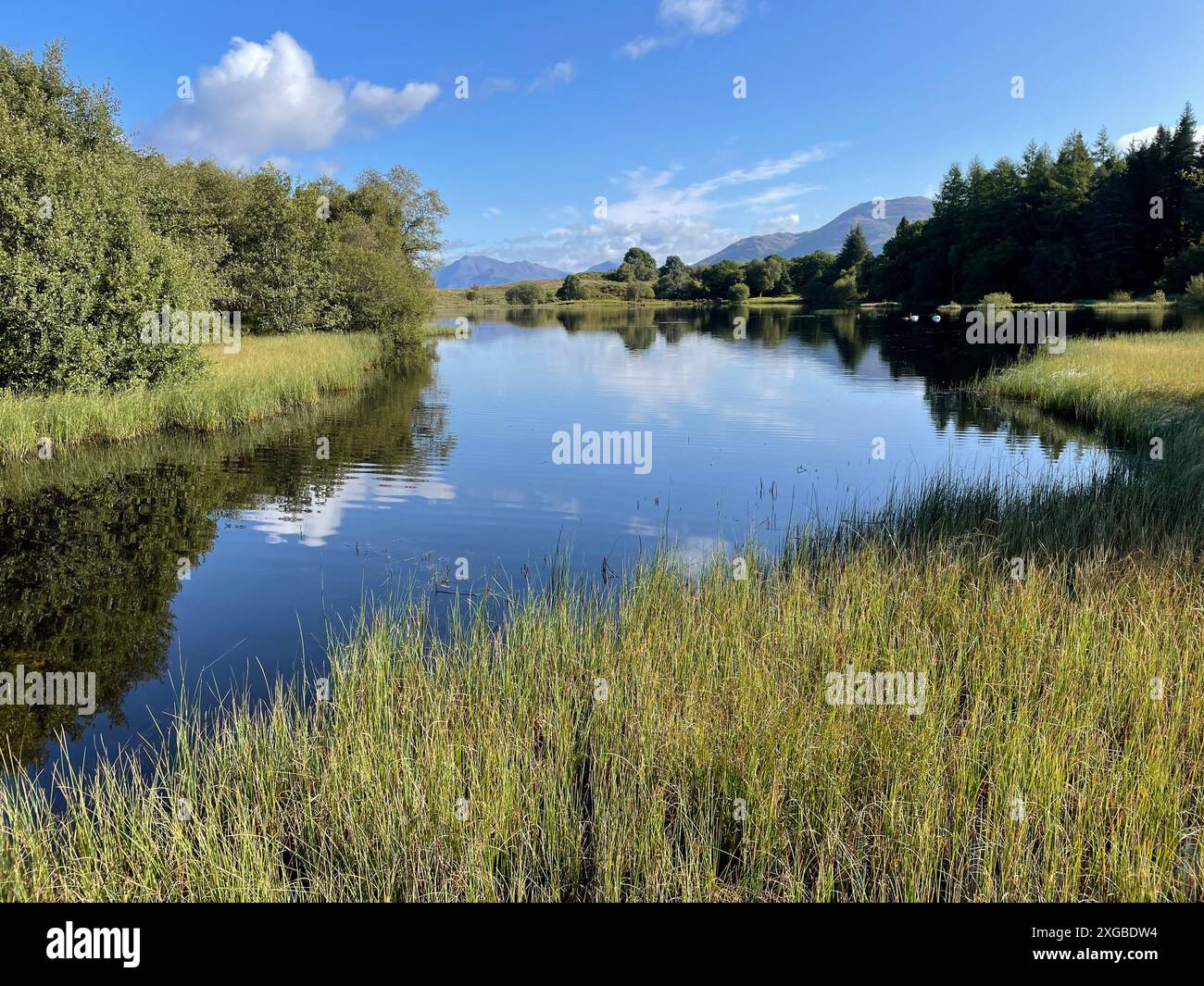 Angus's Memorial Garden auf dem Barguillean Estate in der Nähe von Taynuilt, Argyll, Schottland Stockfoto