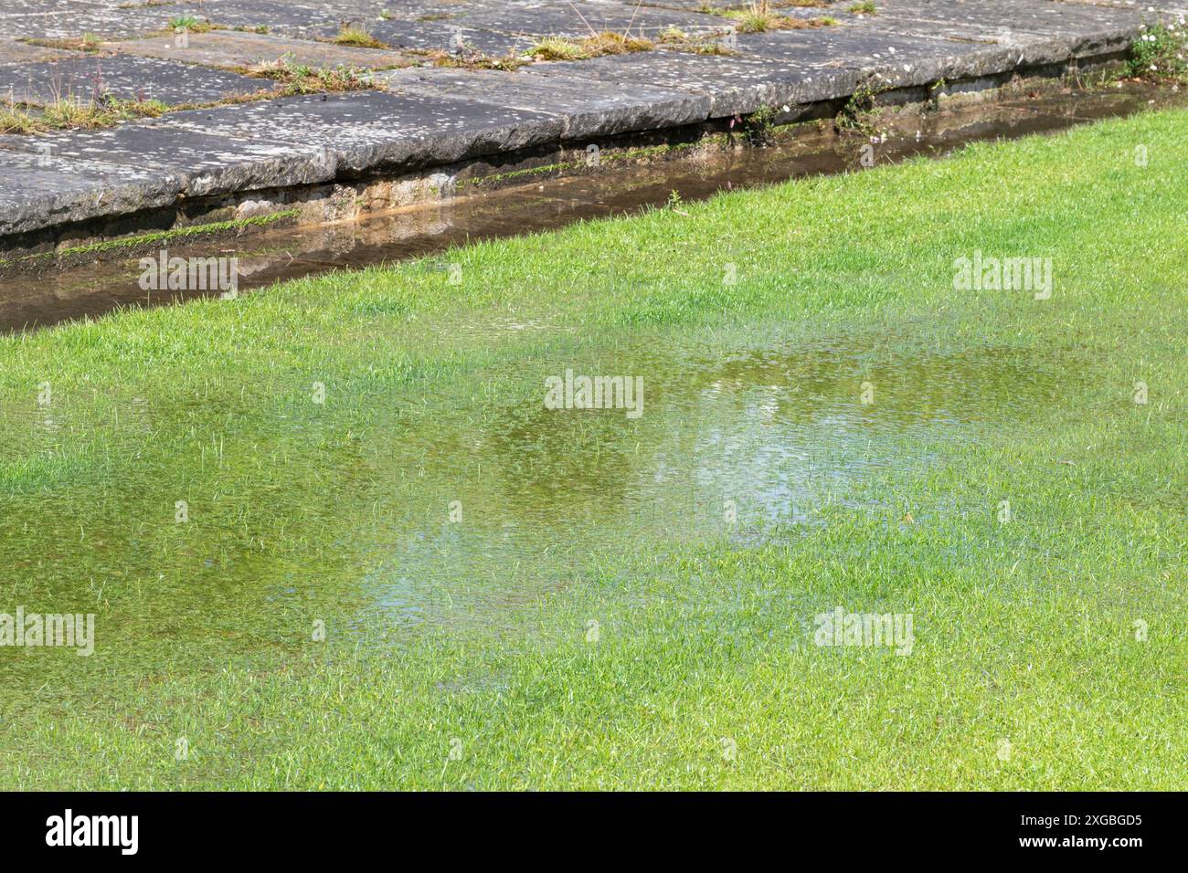 Wasserdurchnässer Rasen nach starkem Regen Stockfoto