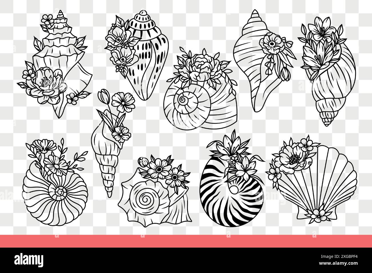 Muscheln von Meeresbewohnern und Unterwassertiere mit Blumen. Wunderschöne Muscheln von Muscheln und Austern oder Muscheln, die am Meer mit tropischem Strand gefunden werden. Handgezeichnete Kritzelei. Stock Vektor