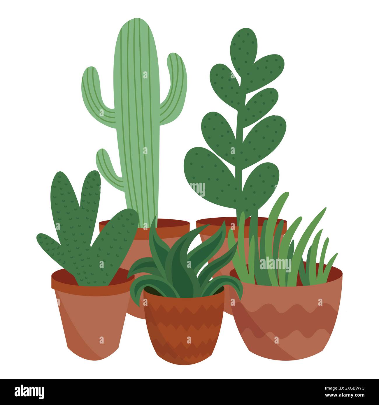 Set von Sukkulenten Pflanzen Stock Vektor