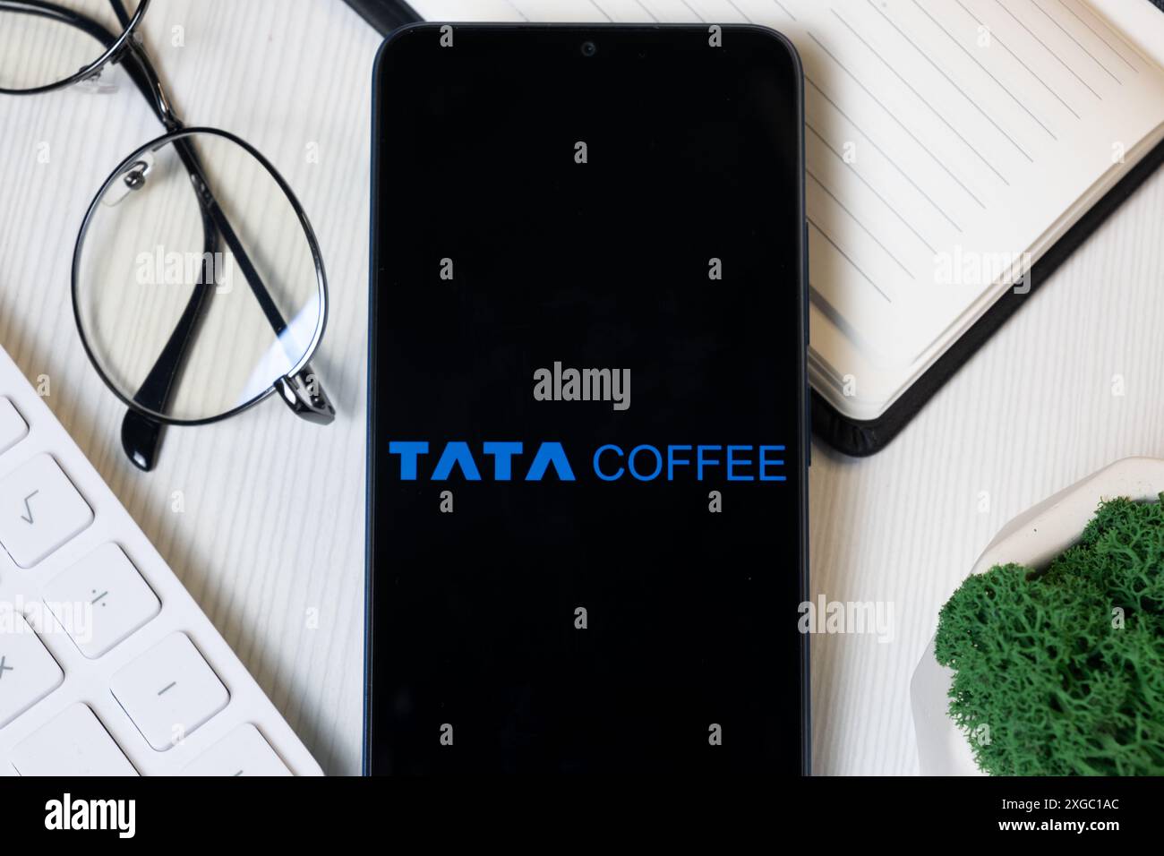 New York, USA – 11. Juni 2024: Tata Coffee Logo auf dem Telefonbildschirm, Firmensymbol. Stockfoto