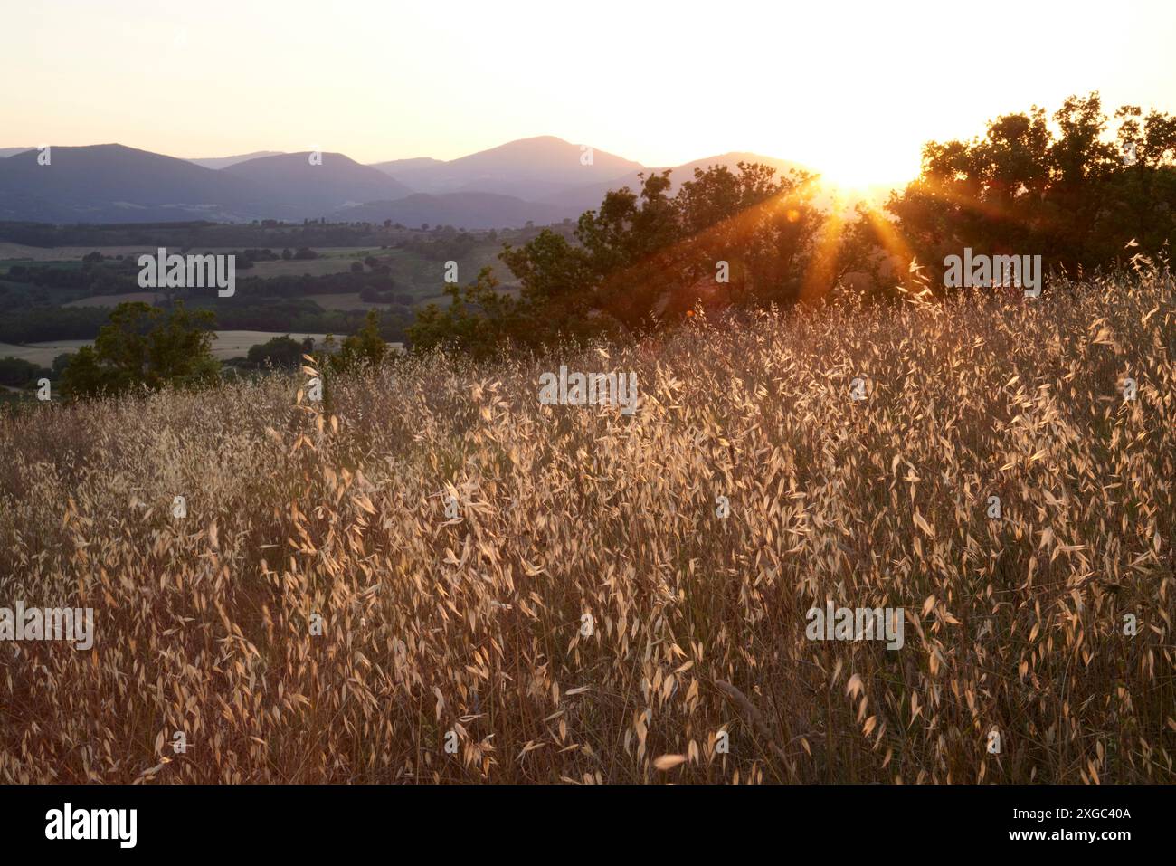 Sonnenuntergang auf dem Feld mit Blick auf das ländliche Umbrien, Italien Stockfoto