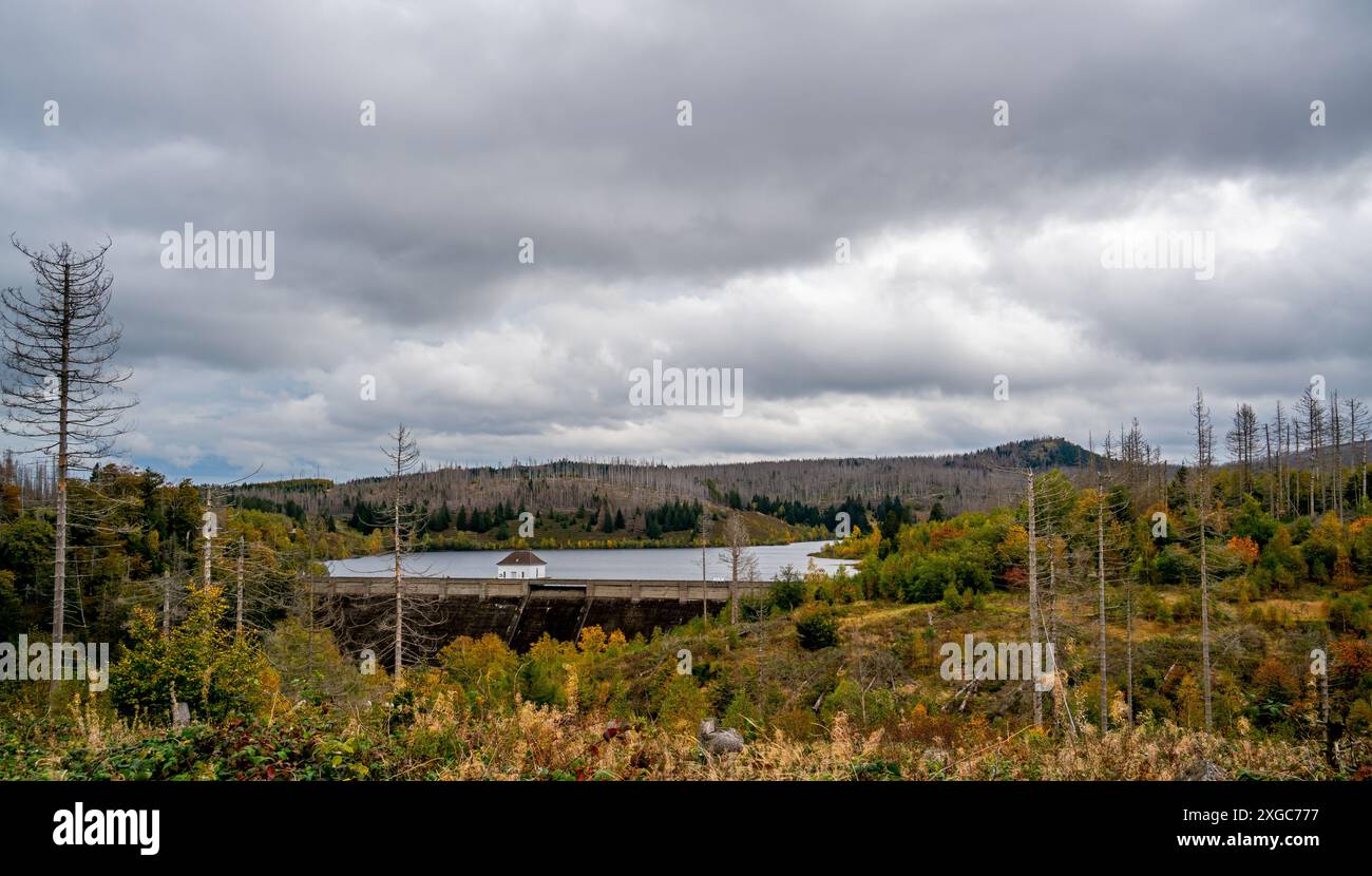 Dam des künstlichen Eckertaler Sees im Harz Stockfoto