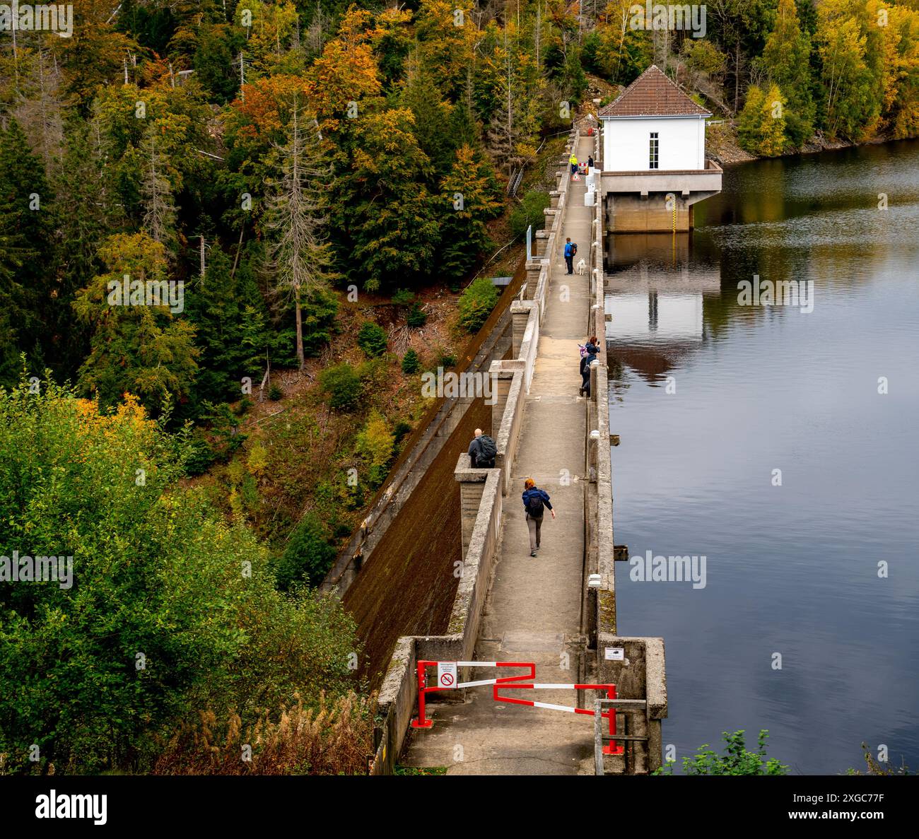 Dam des künstlichen Eckertaler Sees im Harz Stockfoto
