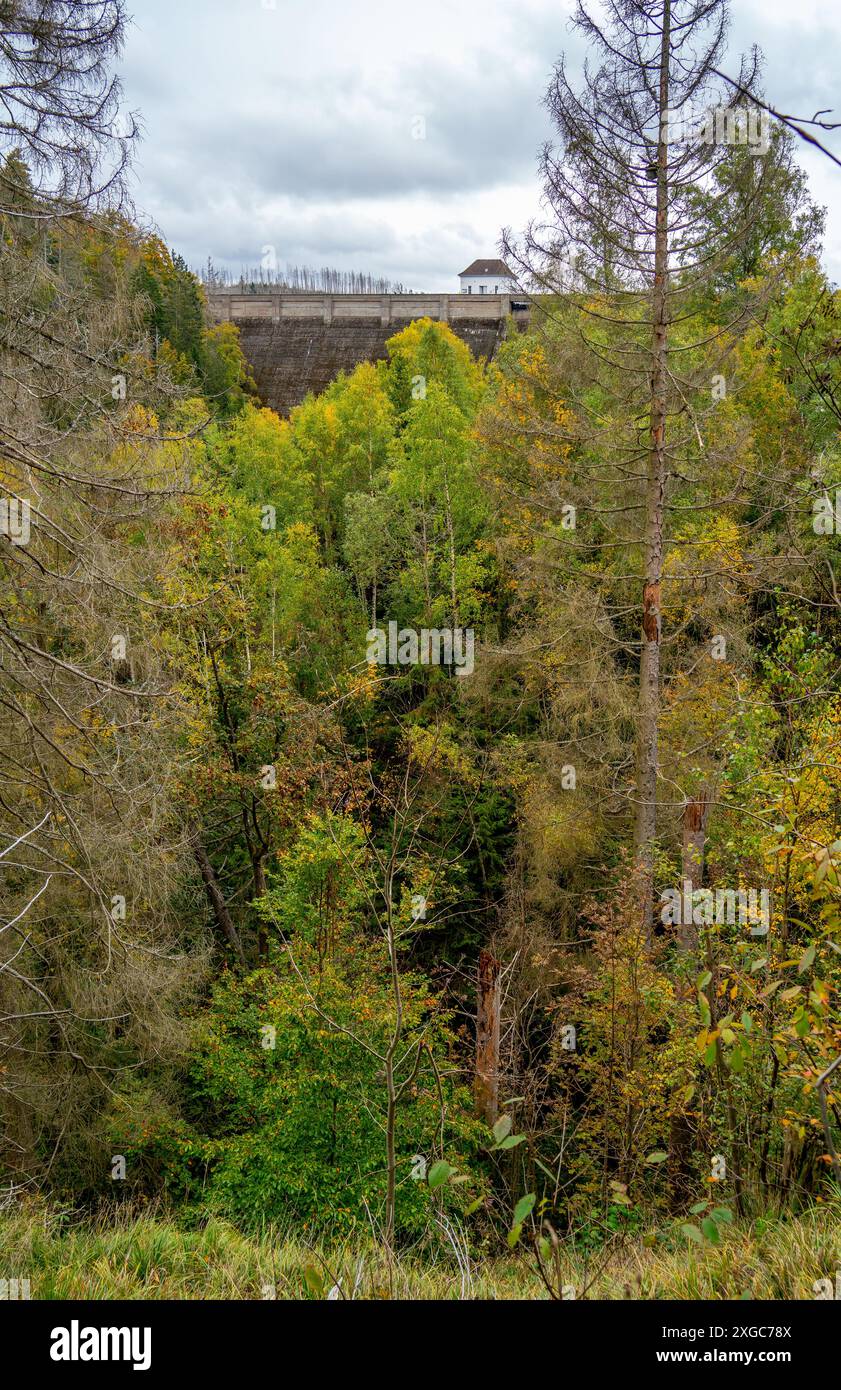 Dam des künstlichen Eckertaler Sees im Harz Stockfoto