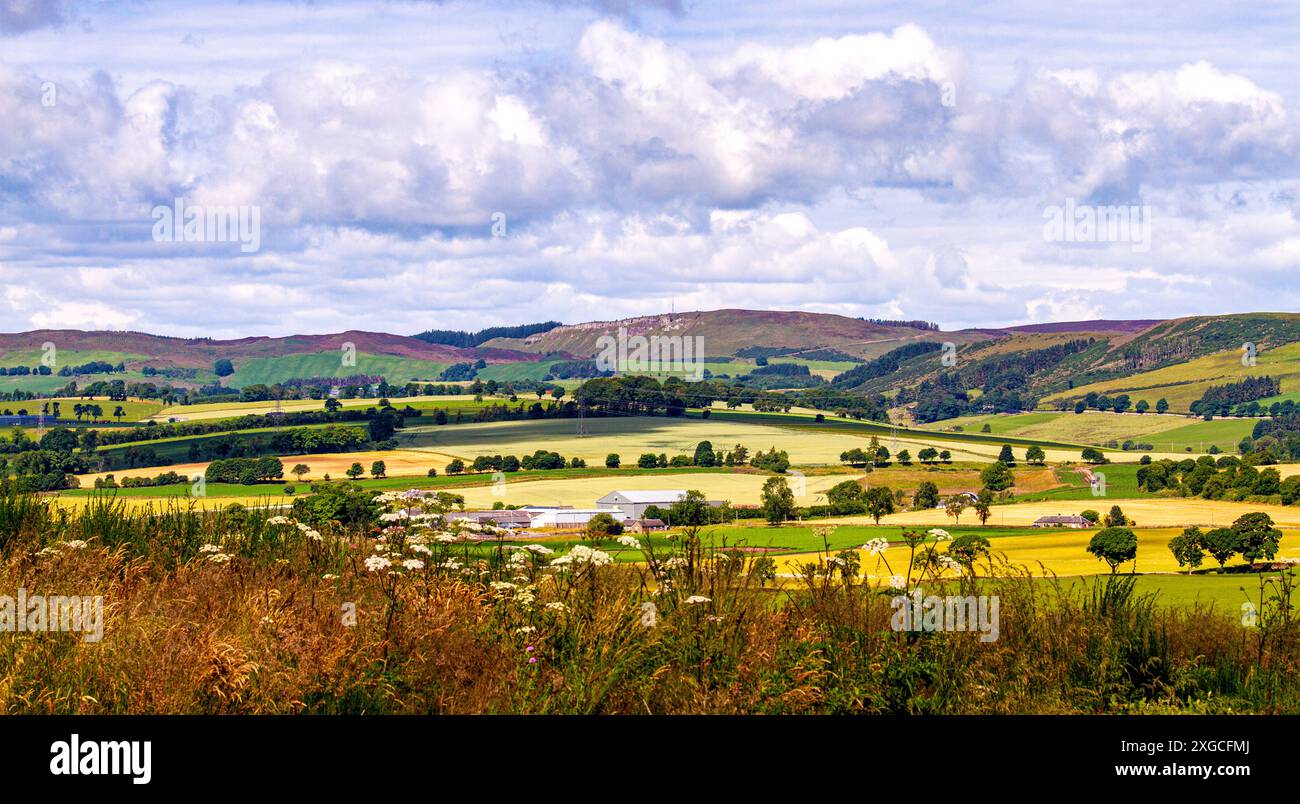 Dundee, Tayside, Schottland, Großbritannien. Juli 2024. Wetter in Großbritannien: Sonniges und bewölktes Sommerwetter mit wunderschönem Blick auf die Dundee Sidlaw Hills und Strathmore Valley, Schottland. Quelle: Dundee Photographics/Alamy Live News Stockfoto