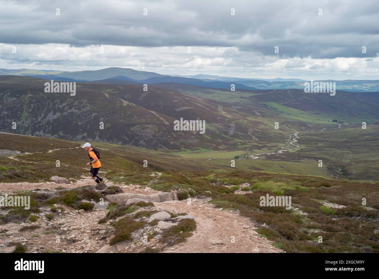 Hügelläufer nahe der Spitze des Mount Keen mit glen Tanar dahinter. Cairngorms-Nationalpark schottland Stockfoto