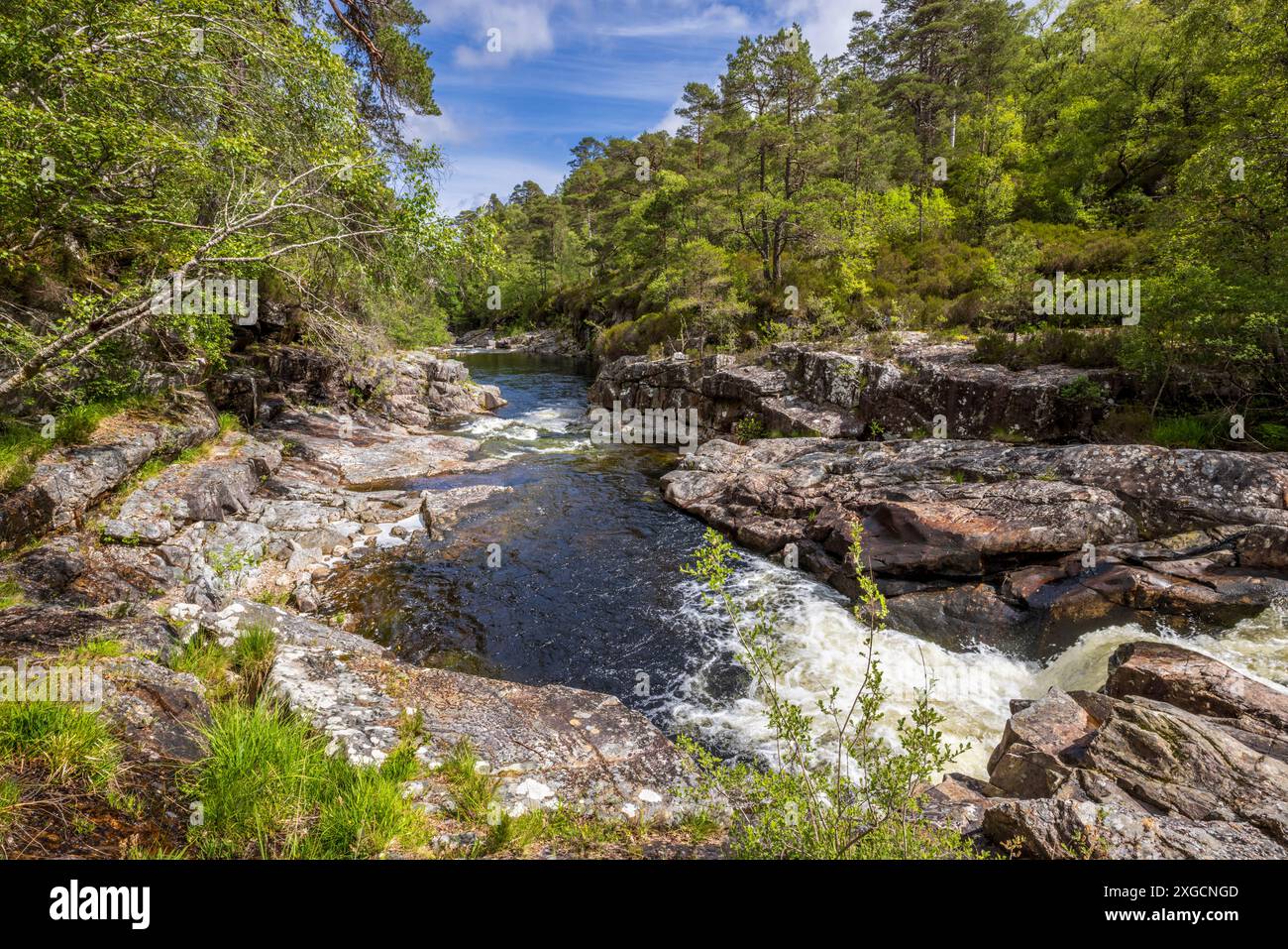 Der Fluss Affric fließt durch Glen Affric, Inverness, Schottland Stockfoto