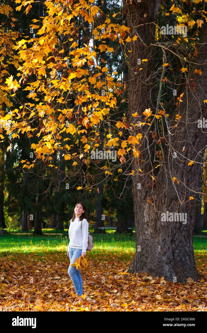 Süßes junges, romantisches Brünette Mädchen in weißem Pullover, Jeans und Turnschuhen mit einem Blumenstrauß aus orange gefallenen Blättern. Frau, die unter einem großen Tulpenbaum im Herbstpark steht. Stockfoto