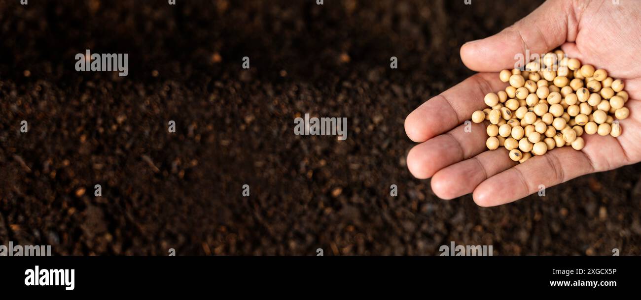 Handgepflanzte Samen auf dem Boden, Aussaat Hintergrund mit Kopierraum, Landwirtschaft, Bio-Gartenbau, Pflanzen- oder Umweltkonzept, nachhaltige Geschäftsentwicklung Stockfoto