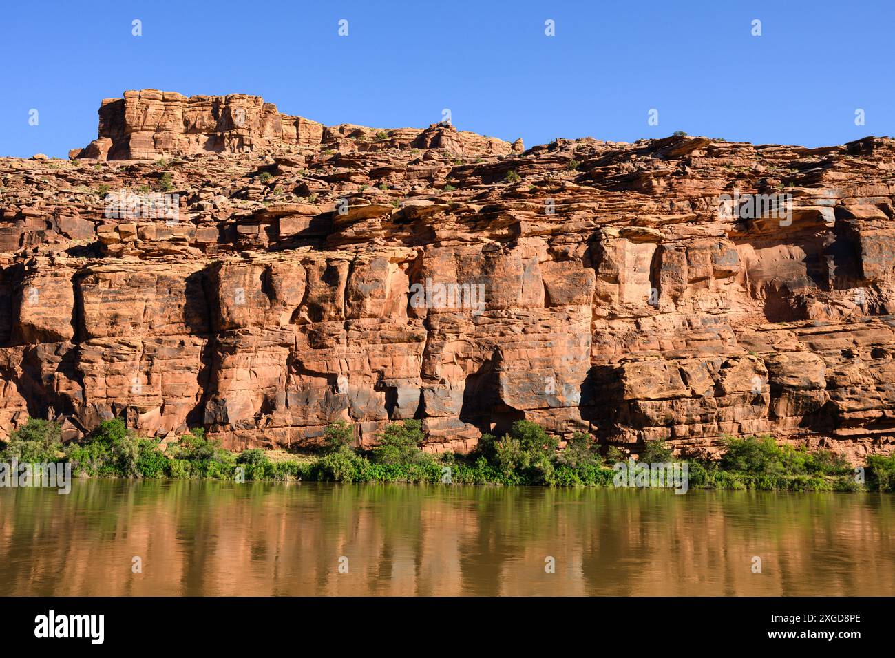 Rote Sandsteinklippen spiegeln sich im Colorado River mit grünem Rand und blauem Himmel wider Stockfoto