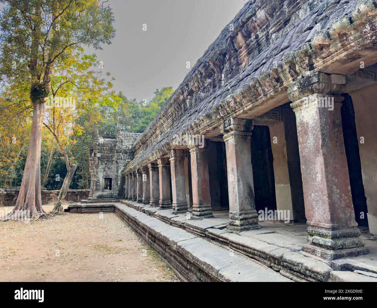TA Prohm Tempel, ein Mahayana buddhistisches Kloster, das Ende des 12. Jahrhunderts für Khmer-König Jayavarman VII. Erbaut wurde, Angkor, UNESCO-Weltkulturerbe, Cambo Stockfoto