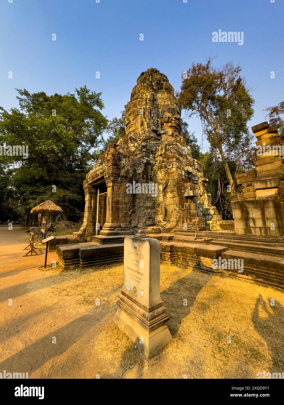 TA Prohm Tempel, ein Mahayana buddhistisches Kloster, das Ende des 12. Jahrhunderts für Khmer-König Jayavarman VII. Erbaut wurde, Angkor, UNESCO-Weltkulturerbe, Cambo Stockfoto