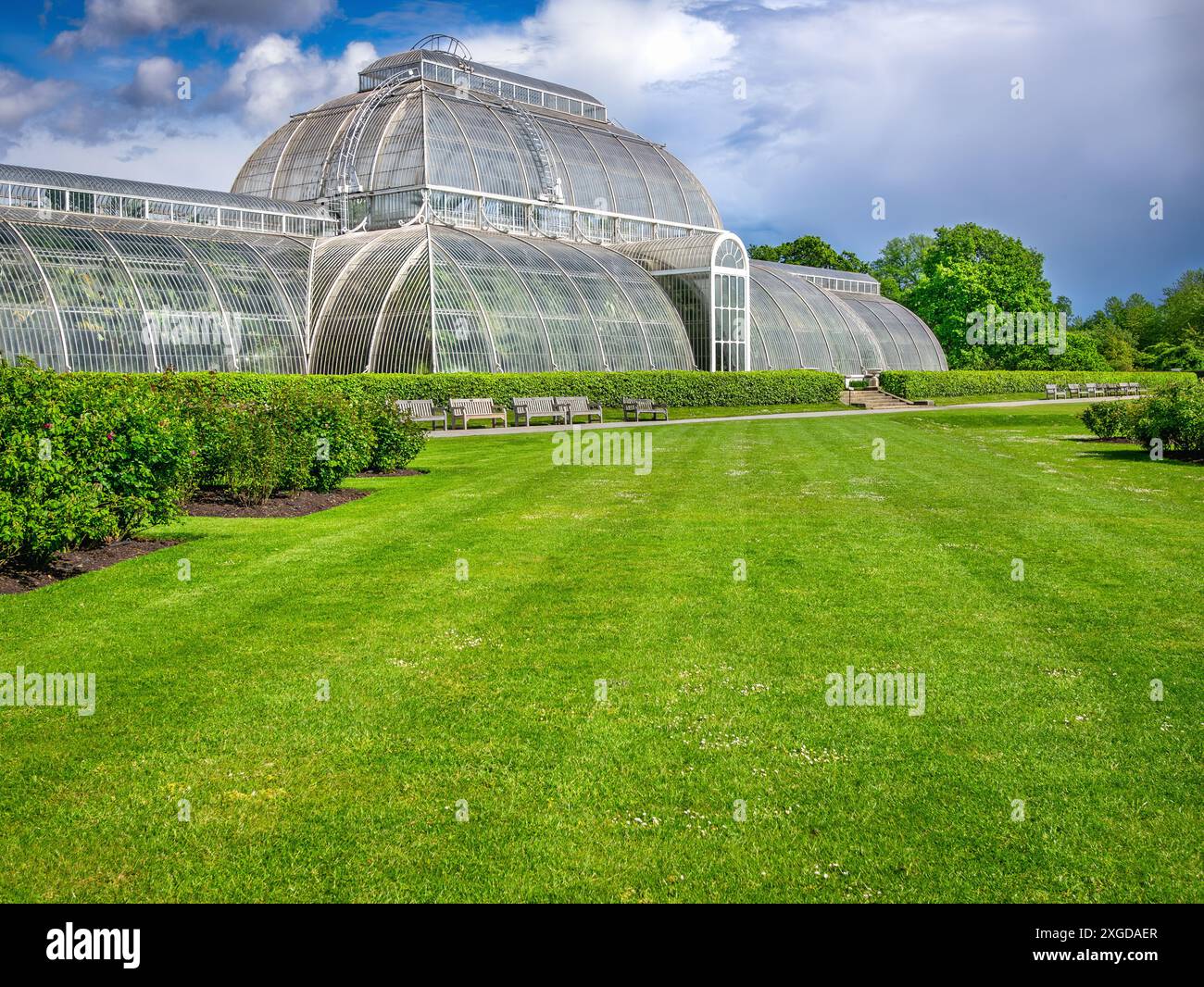 Das Palm House at Kew Gardens ist ein bemerkenswerter Indoor-Regenwald, der eine Sammlung tropischer Pflanzen aus einigen der am stärksten bedrohten Umgebungen beherbergt Stockfoto