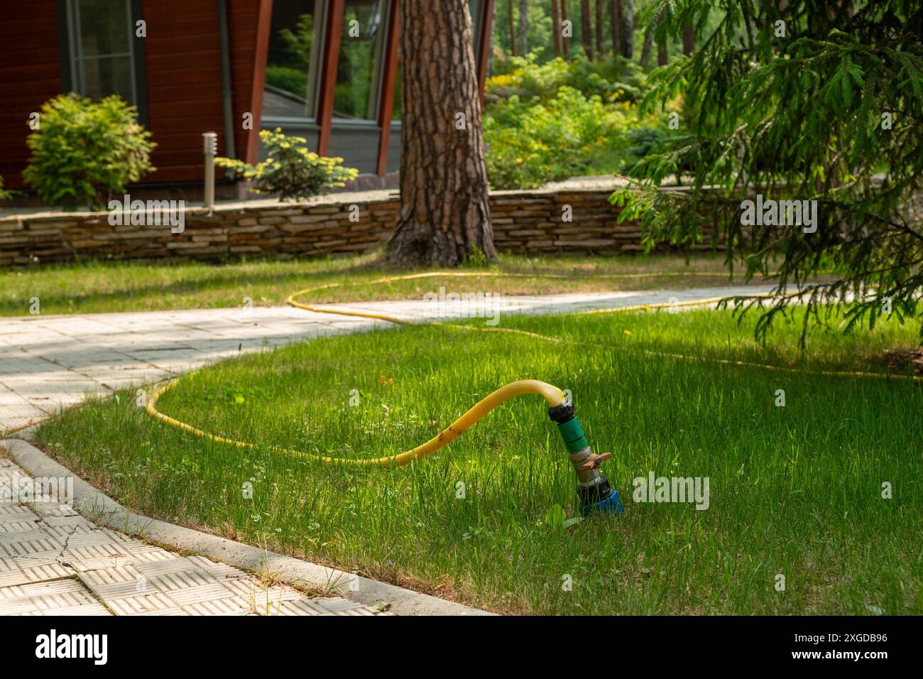 Ein leuchtend gelber Gartenschlauch auf einem üppig grünen Rasen, verbunden mit einem grünen Sprinkler, der sanft das Gras bewässert und die Schönheit des Außenbereichs unterstreicht Stockfoto