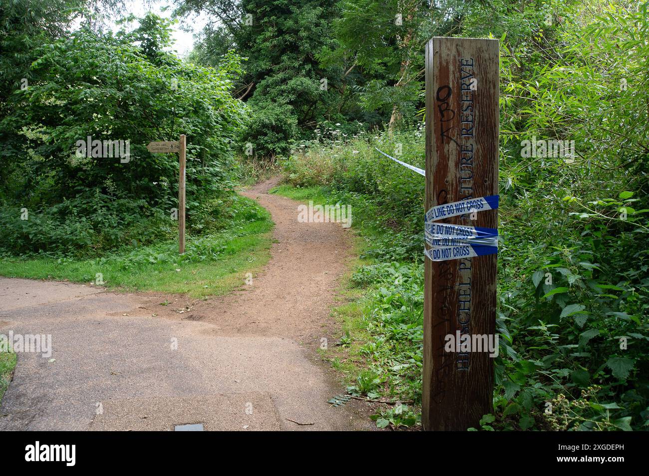 Slough, Großbritannien. 8. Juli 2024 die Thames Valley Police hat einen Teil des Herschel Parks an der Datchet Road in Slough, Berkshire, abgesperrt. Gestern gegen 13:16 Uhr besuchten Beamte den Herschel Park, nachdem sie einen Bericht aus der Öffentlichkeit hatten. Beamte besuchten den Tatort und fanden die Überreste einer Person. Eine Untersuchung über den Tod läuft, der derzeit als ungeklärt behandelt wird. Quelle: Maureen McLean/Alamy Live News Stockfoto