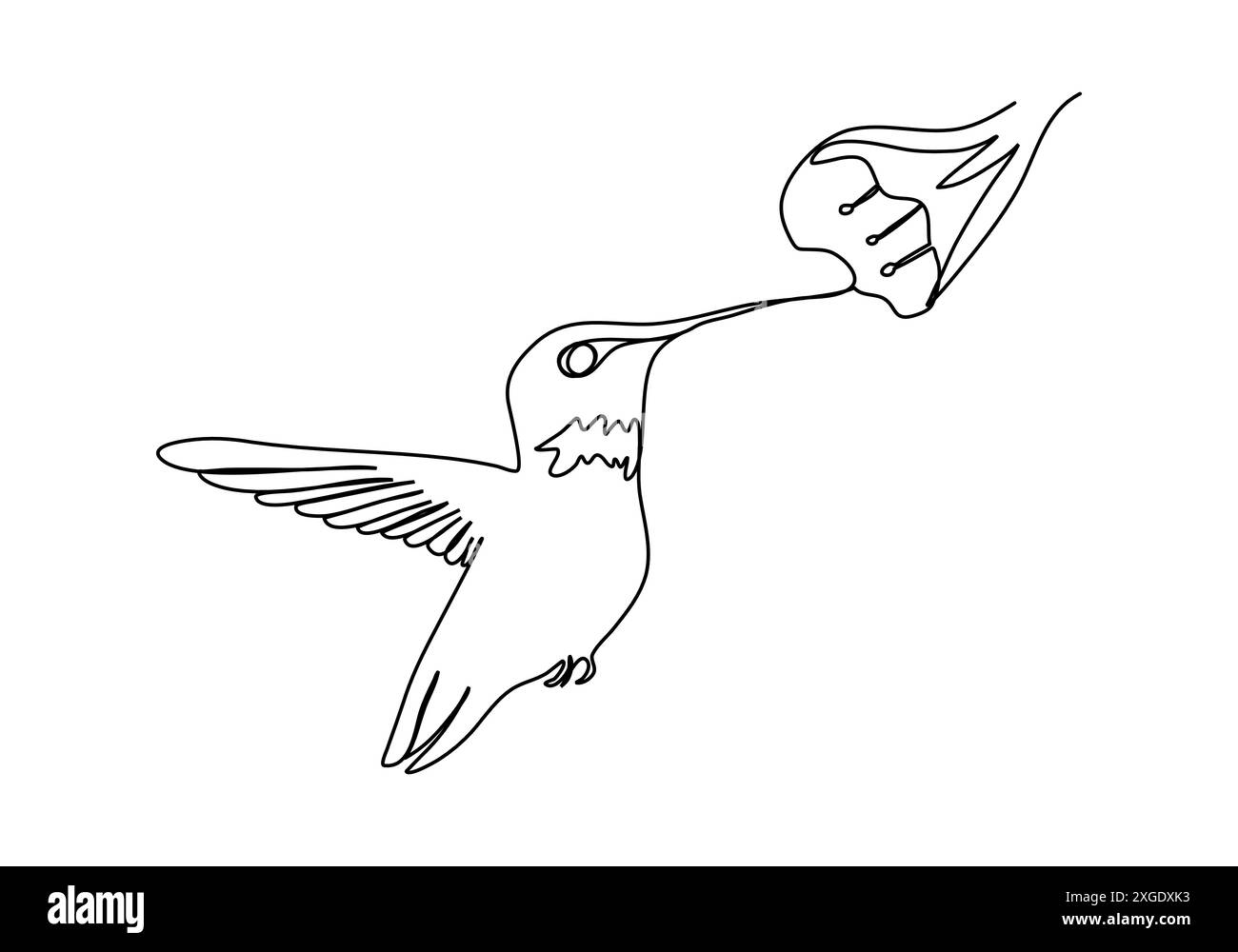 Kolibri, einzeilige Zeichnung Vektor-Illustration. Stock Vektor