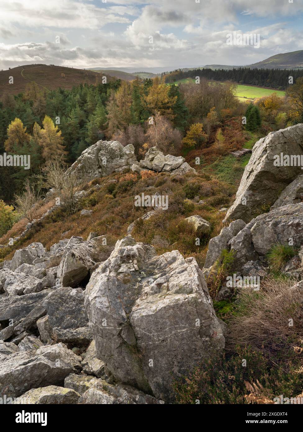 Dramatische Landschaft und Aussicht von den Stiperstones, einem freiliegenden Quarzitgrat in South Shropshire, Großbritannien Stockfoto