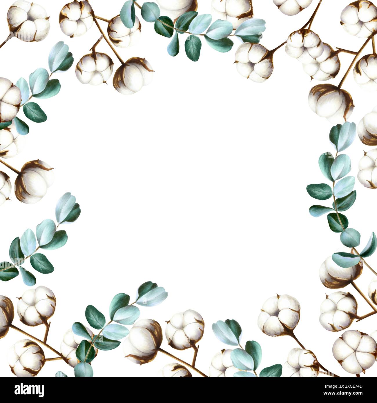 Rahmen mit Baumwollblumen, Eukalyptuszweigen. Aquarell handgezeichnet weiß flauschige Clipart isoliert auf transparentem Hintergrund. Weihnachten, Winter und W Stockfoto