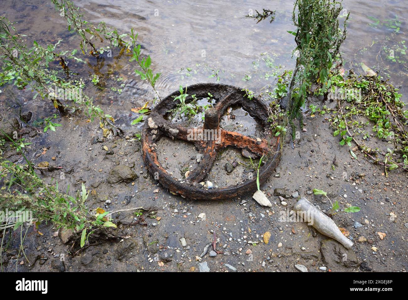 Das gusseiserne Speichenrad ist mit einer dicken Rostschicht bedeckt, die mit anderem Müll unter den Pflanzen im Flachwasser des Flusses abgelegt wurde. Lage: Waikato Neuseeland Stockfoto