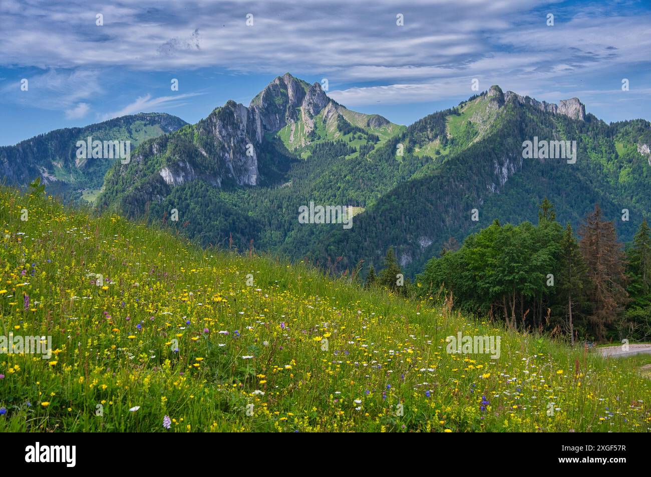 La Forclaz in den französischen alpen bei Thonon Stockfoto