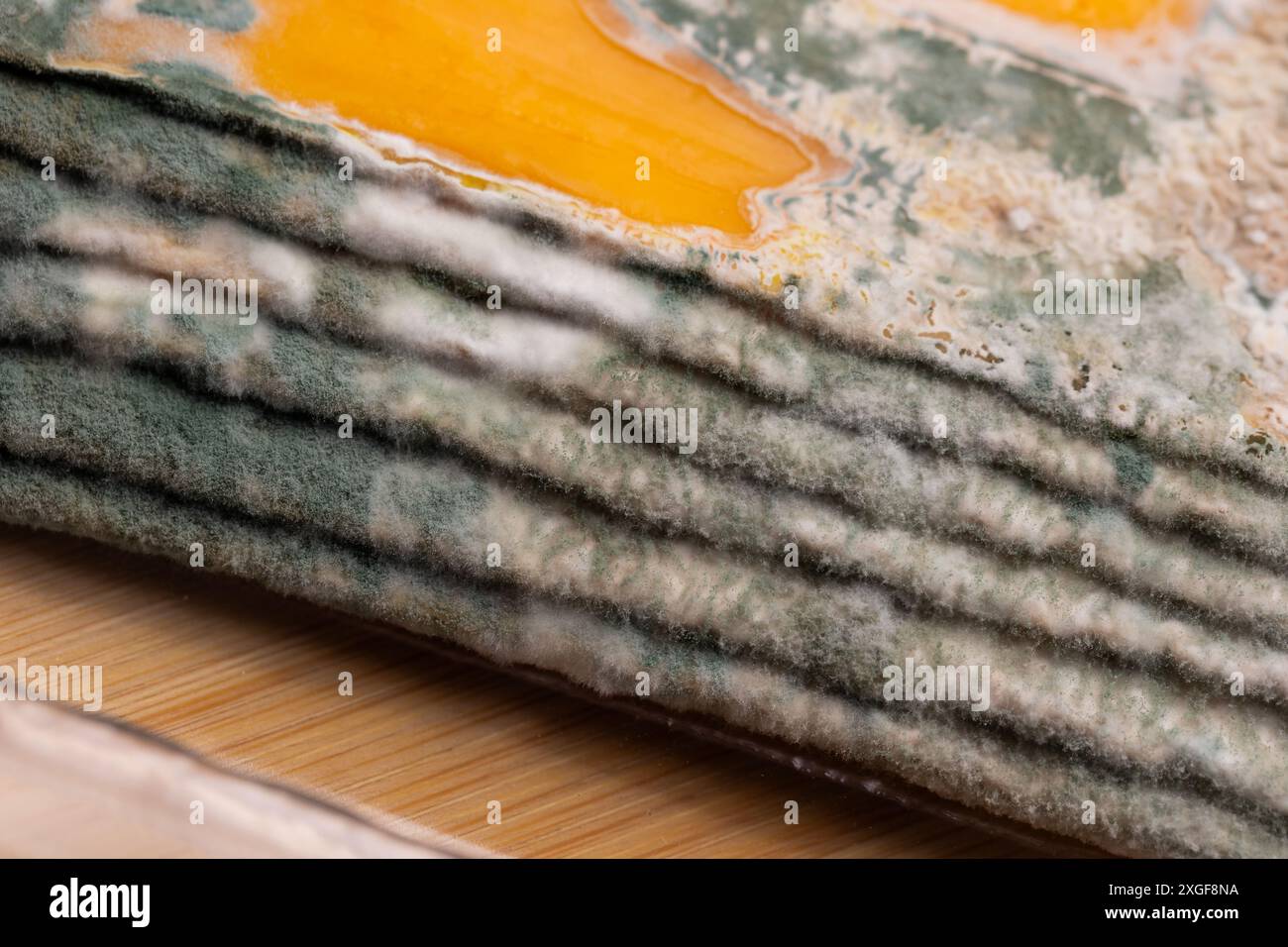 Scheiben von schimmeligem Gelbkäse auf einem Bambus-Schneidebrett. Grüne Schimmelsporen auf Lebensmitteln. Abgelaufene verschwendete Lebensmittel Stockfoto