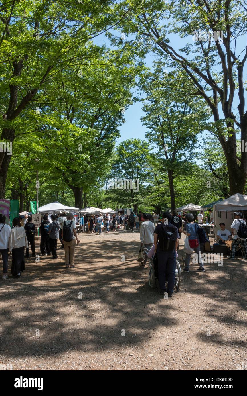 Rollstuhlbesucher auf dem Maker' Market im Inokashira Park an einem sonnigen Frühlingstag in Tokio. Stockfoto