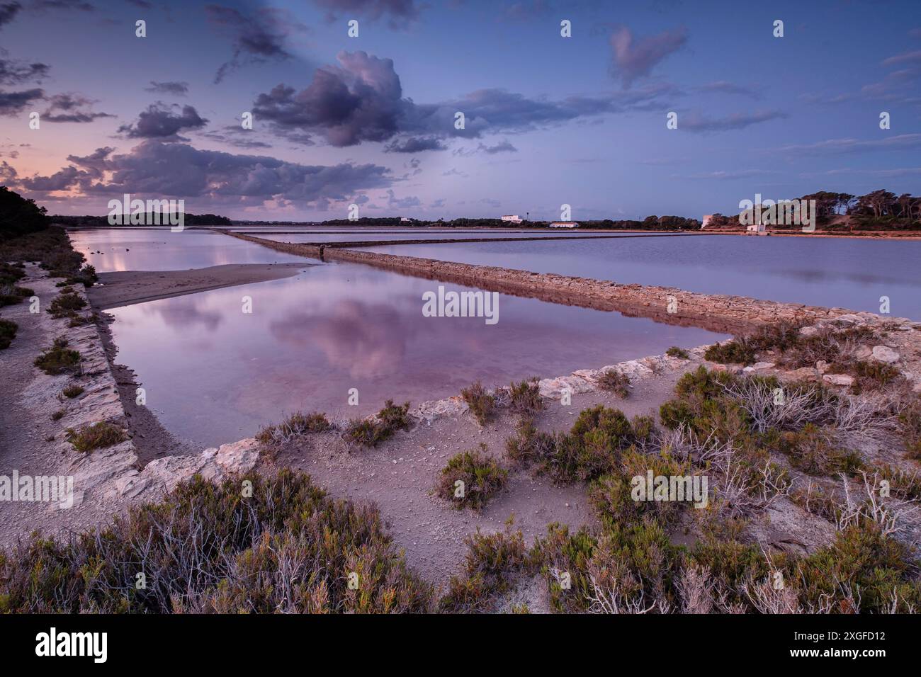 Parc Natural de SES Salines d? Eivissa i Formentera, Formentera, Pitiusas-Inseln, Balearengemeinschaft, Spanien Stockfoto