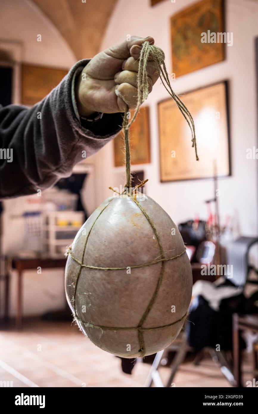 Bufeta, traditionelle Schlachtung des mallorquinischen schwarzen Schweins, Mallorca, Balearen, Spanien Stockfoto