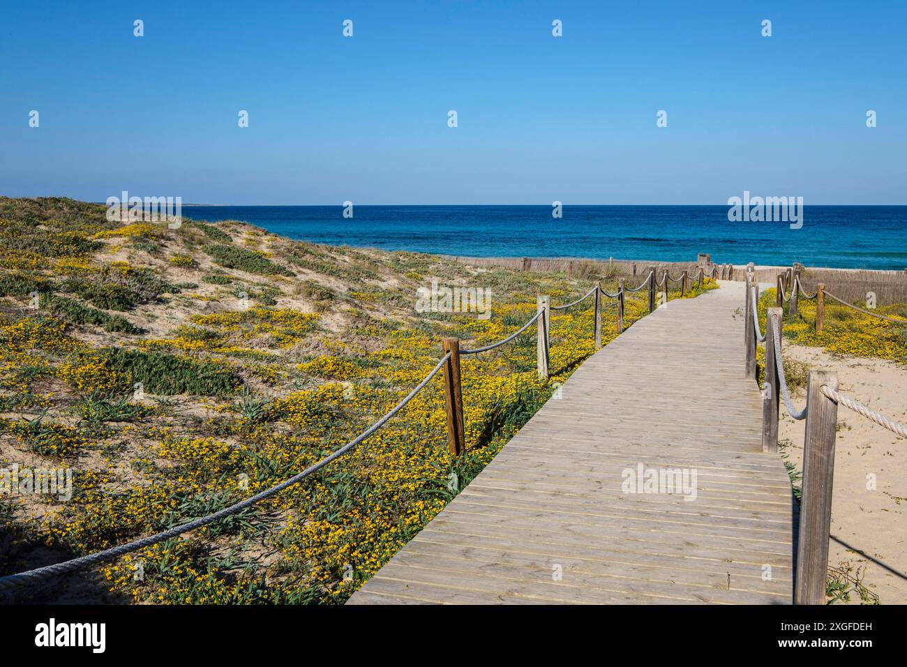 Llevant Beach Walkway, SES Salines d? Eivissa i Formentera Naturpark, Formentera, Pitiusas Inseln, Balearen Gemeinschaft, Spanien Stockfoto