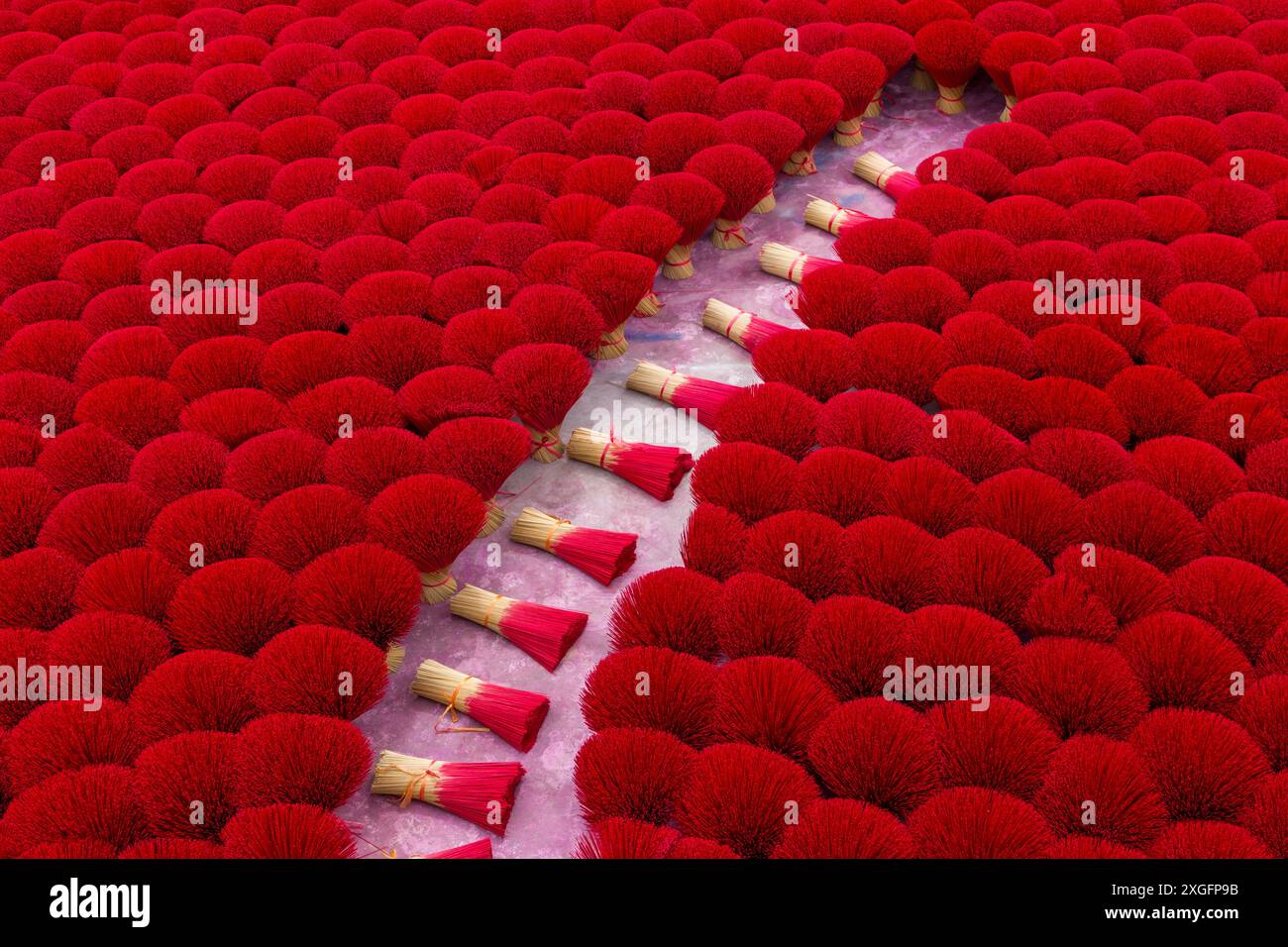 Leuchtend roter Weihrauch wird auf dem Boden zum Trocknen in der Sonne in Quang Phu Cau, Ung Hoa, Nordvietnam, Asien im Juni gelegt - rote Weihrauchstäbchen Stockfoto