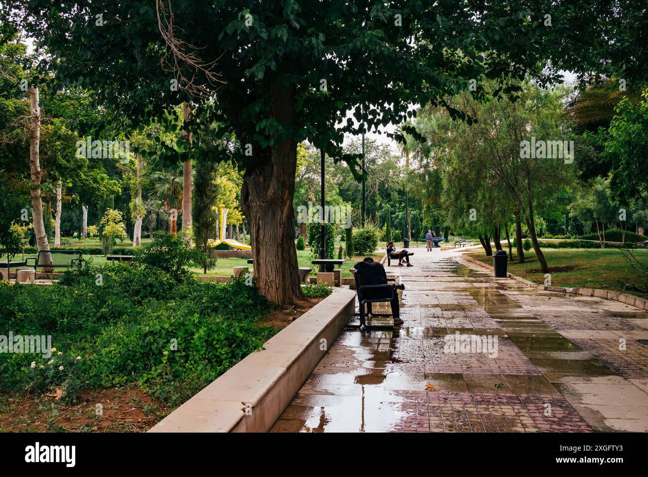 Öffentlicher Park in Shiraz, Iran. Stockfoto
