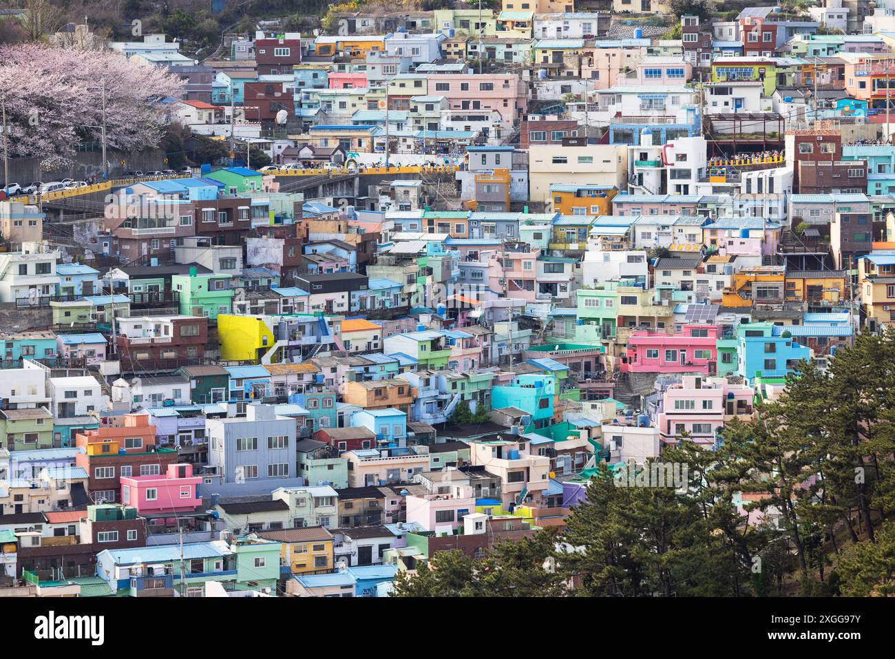 Farbenfrohe Häuser des Gamcheon Culture Village, Busan, Südkorea, Asien Stockfoto