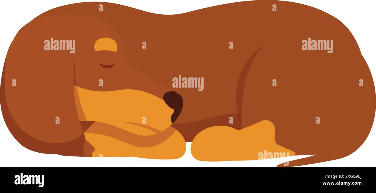 Niedlicher brauner Dackelhund, der friedlich auf dem Boden schläft Stock Vektor