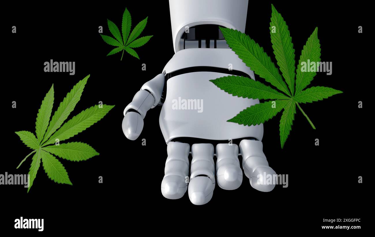 Das 3D-Rendering eines Roboterarms greift nach einem Cannabisblatt und symbolisiert den technologischen Fortschritt in der Cannabisindustrie. Stockfoto