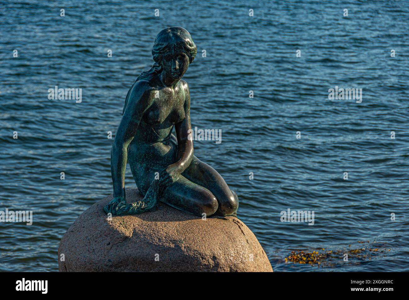 Die kleine Meerjungfrau von Kopenhagen, die von allen Touristen besucht wird. Dänemark. Stockfoto