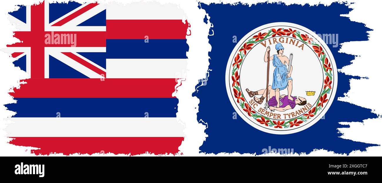 Virginia und Hawaii staaten Grunge Pinsel Flags Verbindung, Vektor Stock Vektor