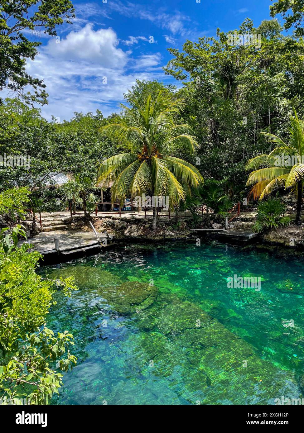 Cenote Casa Tortuga, Höhlen und Pools in der Nähe von Tulum und Playa Del Carmen. Reiseziel Mexiko. Stockfoto