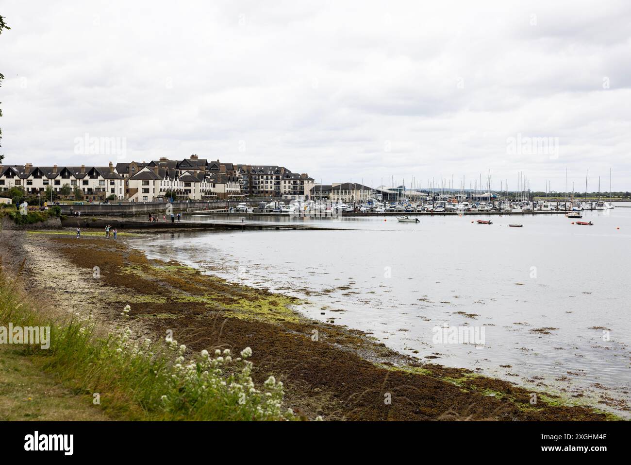 Blick auf den Yachthafen vom Strand in Malahide, County Dublin, Irland. Stockfoto